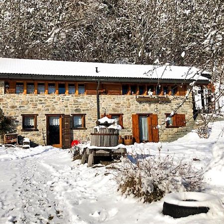 A L'Oree Du Bisse Anzere Exterior photo