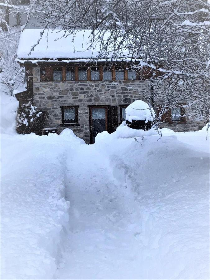 A L'Oree Du Bisse Anzere Exterior photo